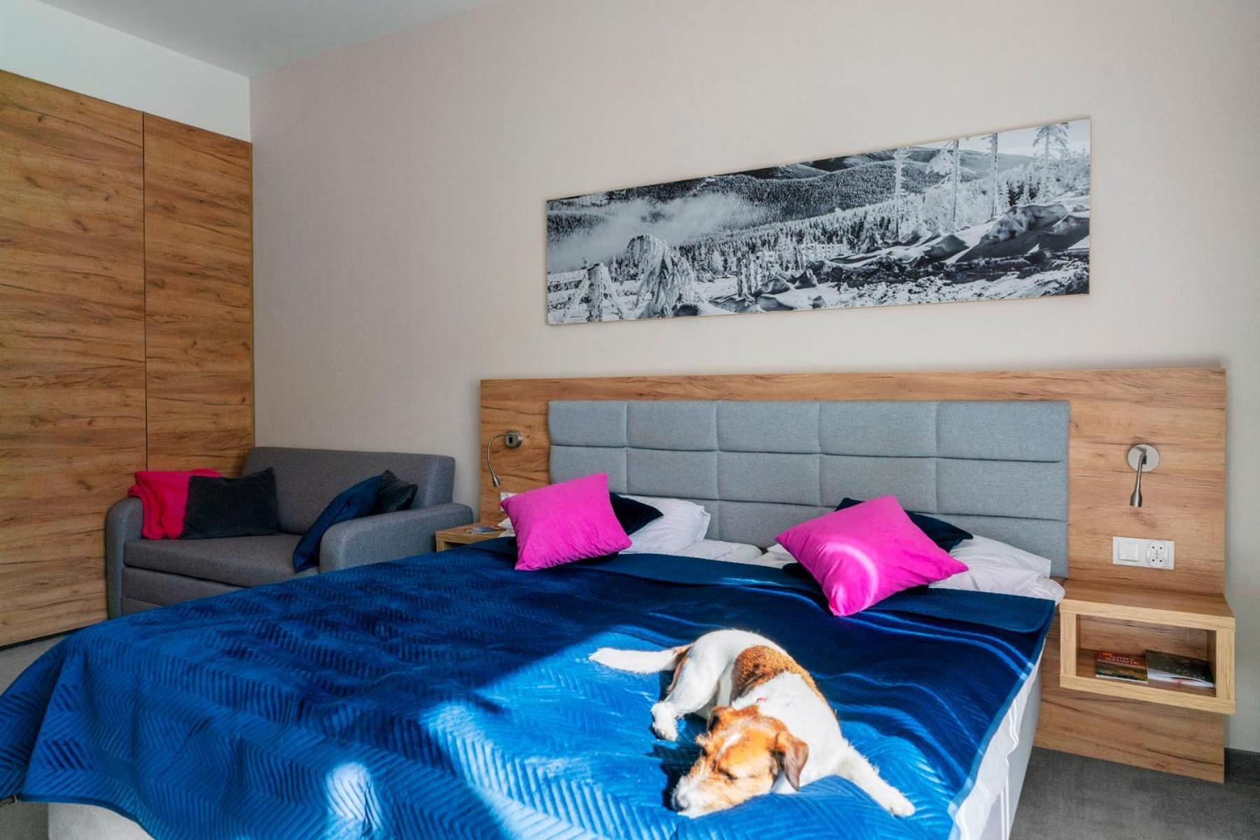 Apartament Folgaria - Aparthotel Panorama Czarna Gora Sienna  Esterno foto